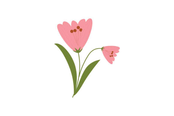Boho Color Floral Plant Illustration Review