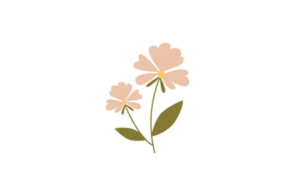 Floral with Boho Color Illustration 2 for Graphics and Illustrations