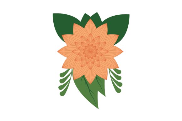 Peach Daisy Floral Vector: Graphics & Illustrations