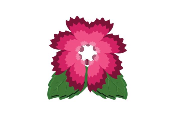 Pink Magnolia Graphics & Illustrations Review